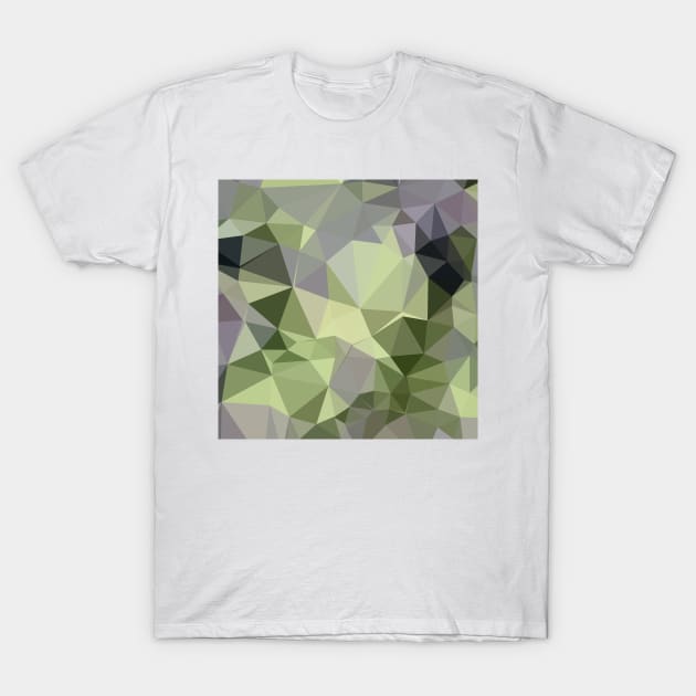 Asparagus Green Abstract Low Polygon Background T-Shirt by retrovectors